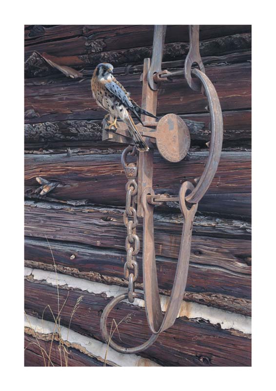 Daniel Smith Limited Edition Print:"Frontier Memory"
