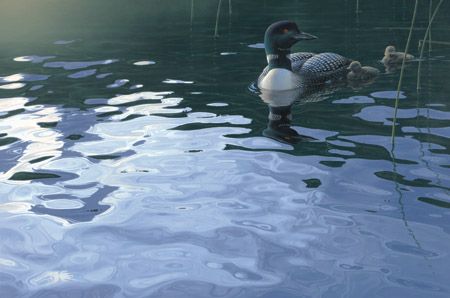 Daniel Smith Limited Edition Print:"Testing The Waters"