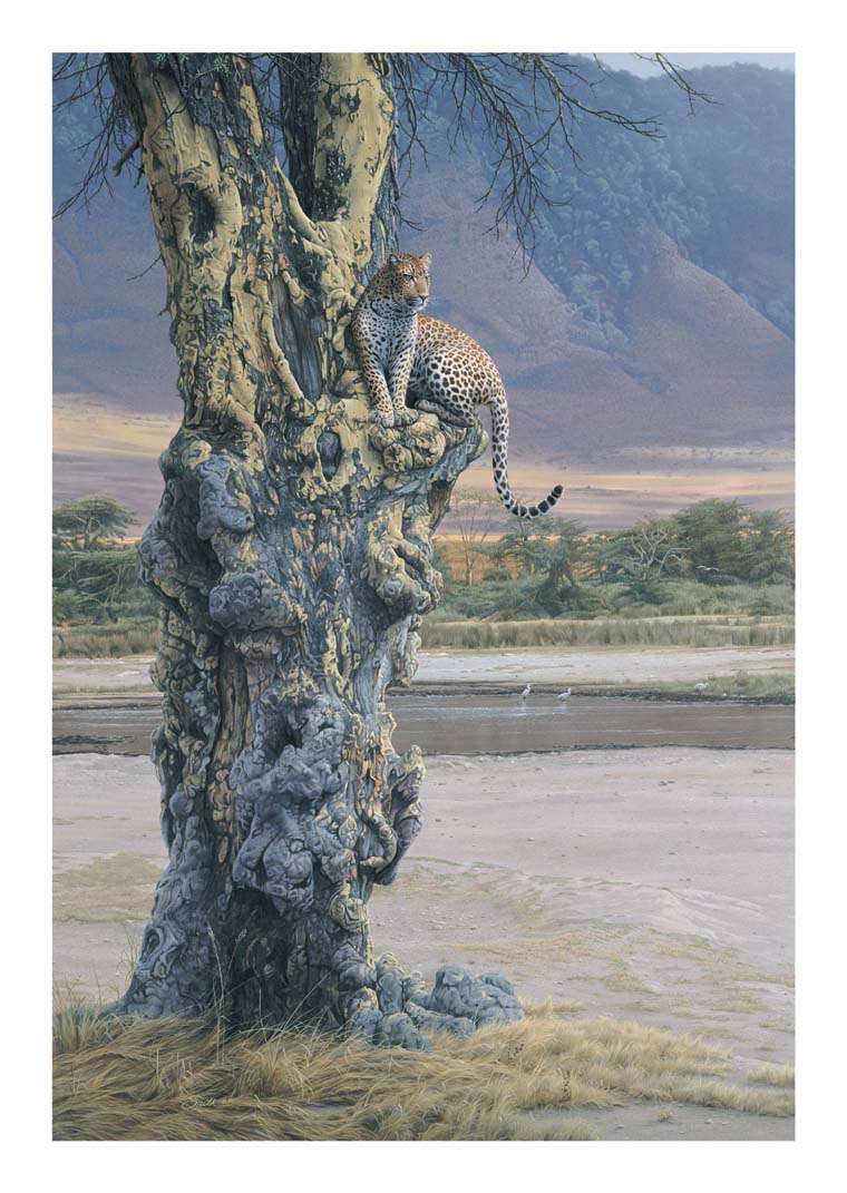 Daniel Smith Limited Edition Print:"Vantage Point" 
