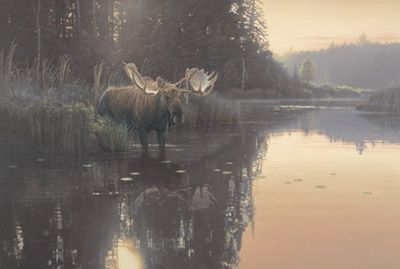 DANIEL SMITH  Secondary Market Art: "BACKWATER BULL"
