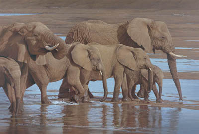 DANIEL SMITH  Secondary Market Art: "RIVERBANK PROCESSION"