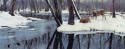 DANIEL SMITH  Secondary Market Art: "WINTER WHITES AP"