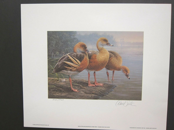 Daniel Smith Signed and Numbered Limited Edition  Executive Edition Lithograph: "1989 Australian Duck"