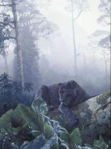 Daniel Smith Signed and Numbered Limited Edition  Lithograph: "African Ebony"