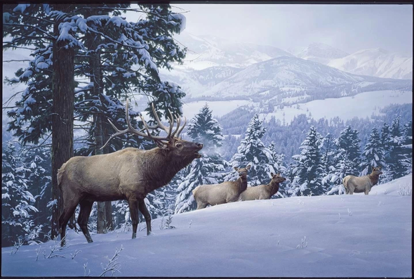 Daniel Smith Signed and Numbered Limited Edition Lithograph: "Early Snow Elk"