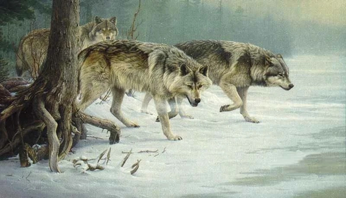 Daniel Smith Signed and Numbered Limited Edition Lithograph: "Eyes Of The North" Daniel Smith Signed and Numbered Limited Edition Lithograph: "Eyes Of The North"