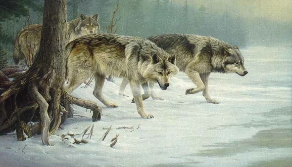 Daniel Smith Signed and Numbered Limited Edition Lithograph: "Eyes Of The North"