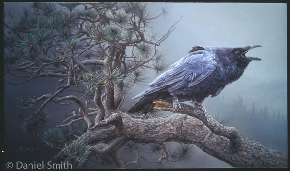 Daniel Smith Signed and Numbered Limited Edition Lithograph Print: "Cry of the Raven"