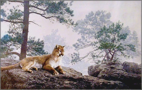 Daniel Smith Signed and Numbered Limited Edition Lithograph Print: "Forest Veil Cougar" Daniel Smith Signed and Numbered Limited Edition Lithograph Print: "Forest Veil Cougar"