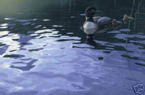 Daniel Smith Signed and Numbered Limited Edition  Lithograph: "Testing The Waters"