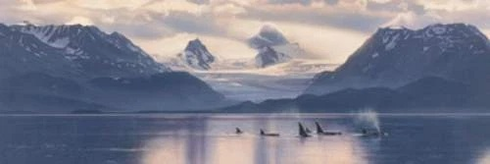 Daniel Smith Signed and Numbered Limited Edition  Masterworks Giclee Canvas: "Into The Stillness - Whales"