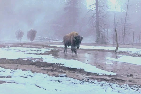 Daniel Smith Signed Limited Edition Lithograph Print: "Yellowstone Procession" Daniel Smith Signed Limited Edition Lithograph Print: "Yellowstone Procession"