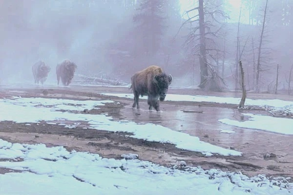 Daniel Smith Signed Limited Edition Lithograph Print: "Yellowstone Procession"