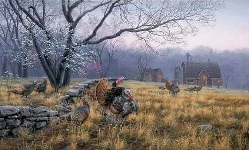 Darrel Bush Signed Limited Edition Print : "Standing The Test Of Time"