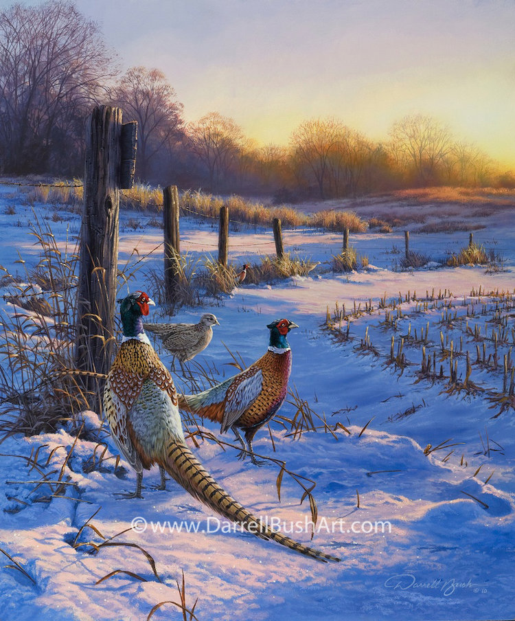 Darrell Bush Hand Signed and Numbered Limited Edition Giclee:"Fence Line Pheasants"