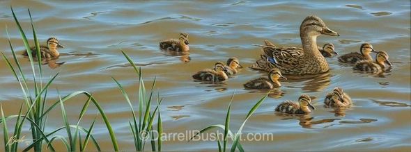 Darrell Bush Hand Signed and Numbered Limited Edition Giclee:"First Time Out"