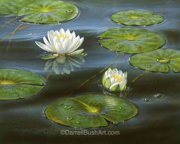 Darrell Bush Hand Signed and Numbered Limited Edition Giclee:"Water Lilies"