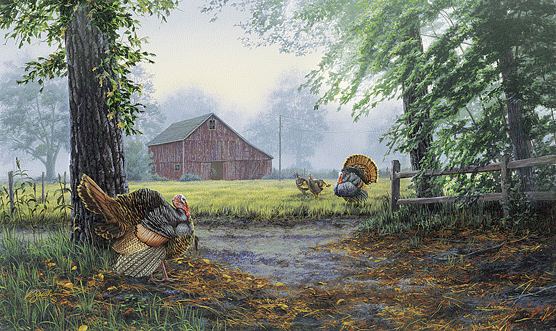 Darrell Bush Handsigned and Numbered Limited Edition Print:"Crossing Paths"