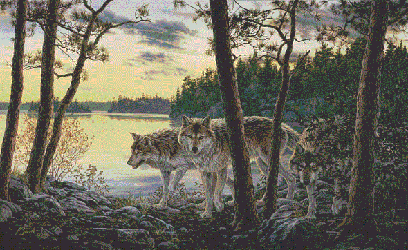 Darrell Bush Handsigned and Numbered Limited Edition Print:"Twilight Encounter"