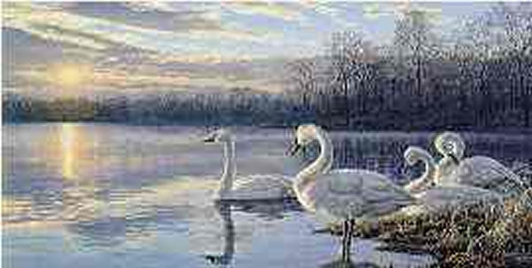 Darrell Bush Limited Edition Print: "Daybreak"