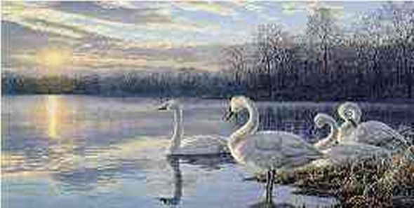 Darrell Bush Limited Edition Print: "Daybreak"