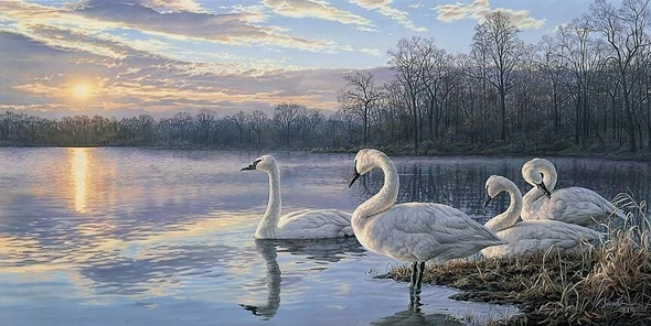 Darrell Bush was born in East Moline , Illinois . As a Signed and Numbered Limited Edition  Lithograph: "Daybreak"
