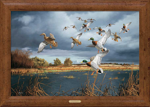 David A. Maass Framed Gallery Canvas: "Threatening Skies-Mallards" David A. Maass Framed Gallery Canvas: "Threatening Skies-Mallards"