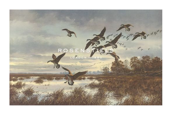 David A Maass Hand Numbered Limited Edition Print on Paper :"Coming In, Canada Geese"