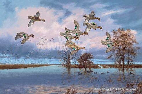 David A. Maass Hand Signed and Numbered Limited Edition Canvas Giclee:"Arkansas Reverie Canvas"