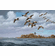 David A. Maass Hand Signed and Numbered Limited Edition Premiere Canvas Giclee: "Eastern Shore-Canada Geese"