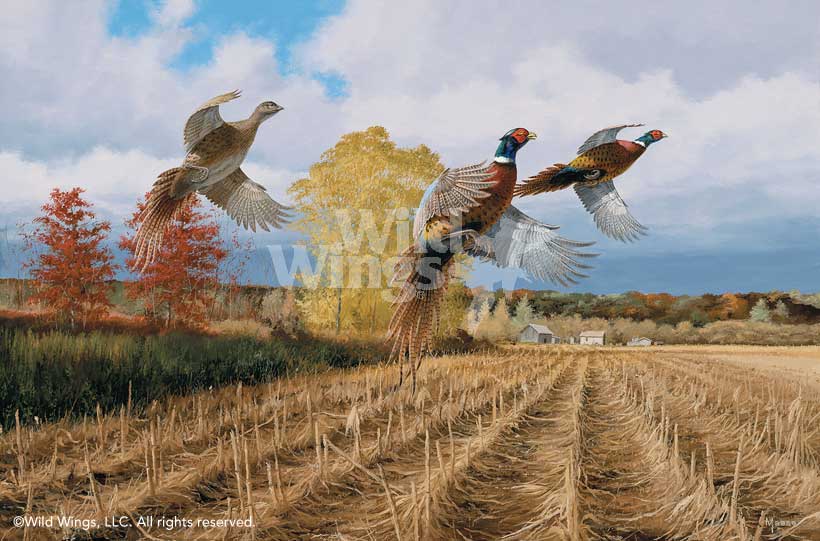 David A. Maass Handsigned and Numbered Limited Edition Artist Proof: "Hasty Ascent"