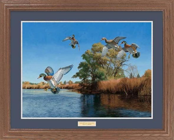 David A. Maass Framed Art Print:"The Seton Channel—Wood Ducks "