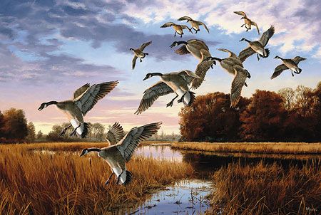 David A. Maass Limited Edition AP Print:"Daybreak Descent- Geese"