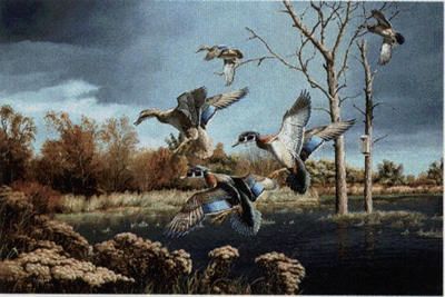 David A. Maass Artist Signed Open Edition Print: "Autumn Haven-Woodducks"