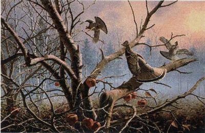 David A. Maass Limited Edition Print: "Autumn Orchard-Ruffed Grouse"