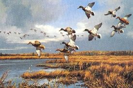 DAVID A MAASS  Secondary Market Art: "SASKATCHEWAN GREENHEAD"