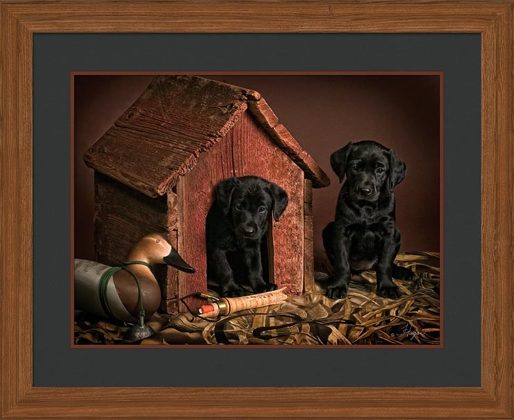David Hagan Open Edition Framed Print: "Call, What Call? - Black Lab Puppies"