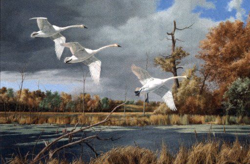 David MaasHandsigned & Numbered Limited Edition Print:"Autumn at Baker"