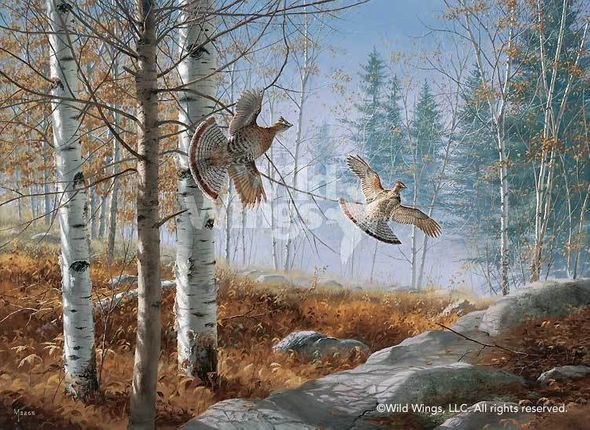 David Maass Artist Proof Limited Edition Print:"Morning Double Grouse"