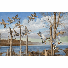 Gallerydirectart