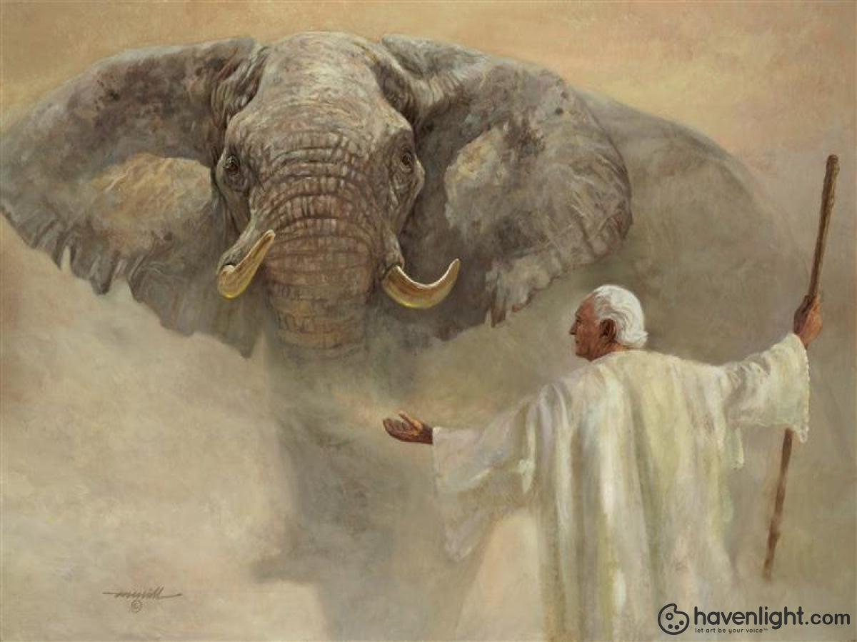 David Merrill Fine Art Canvas Giclee: "Noah"