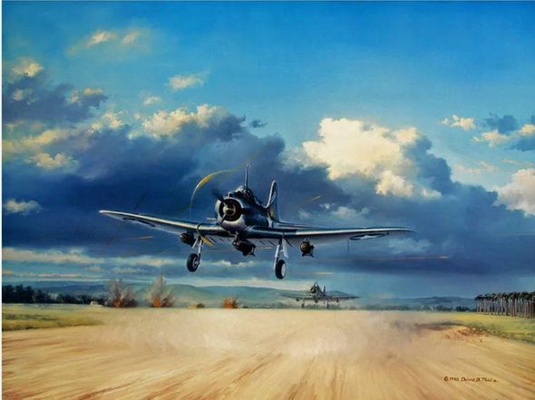 David Poole Pilot Co-Signed Limited Edition Print: "Cactus Scramble"