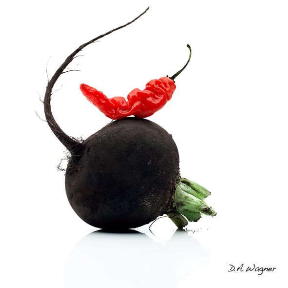 David Wagner Artist Hand Signed Open Edition Gallery Wrap Canvas Giclee: "Black Radish - Red Pepper"