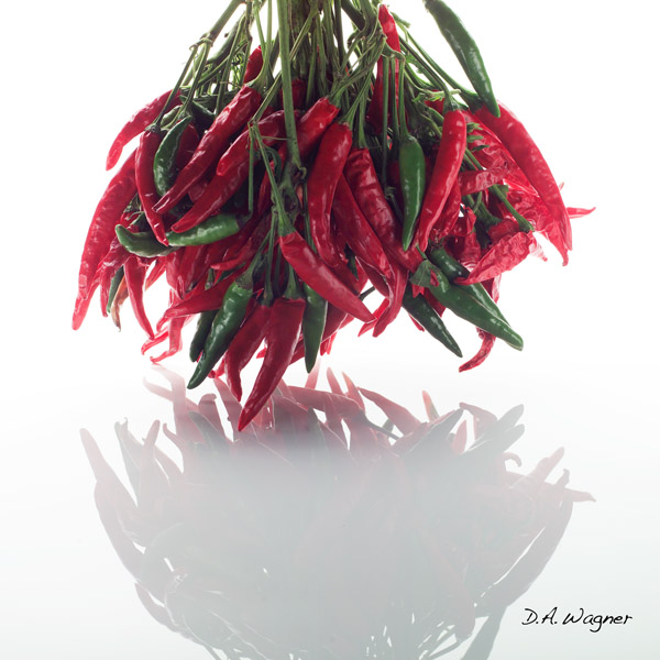 David Wagner Artist Hand Signed Open Edition Gallery Wrap Canvas Giclee: "Hot Peppers Bunch"