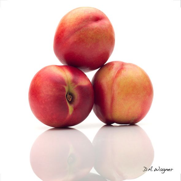 David Wagner Artist Hand Signed Open Edition Gallery Wrap Canvas Giclee: "Jersey Nectarine"