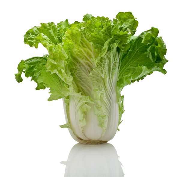 David Wagner Artist Hand Signed Open Edition Gallery Wrap Canvas Giclee: "Napa Cabbage"
