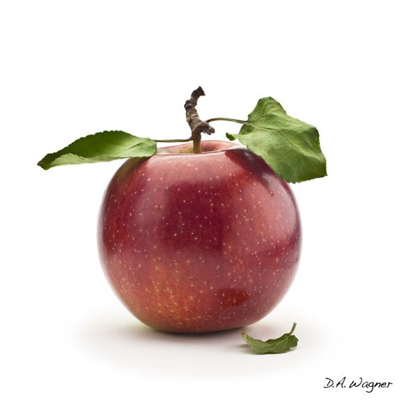 David Wagner Artist Hand Signed Open Edition Gallery Wrap Canvas Giclee: "Red Apple"