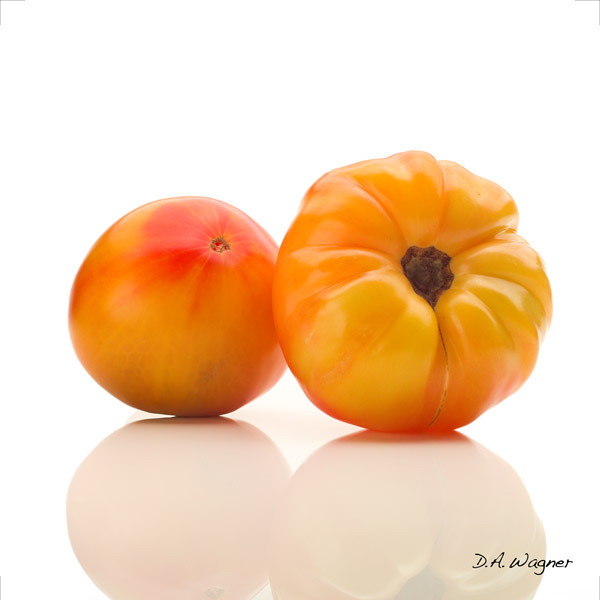 David Wagner Artist Hand Signed Open Edition Gallery Wrap Canvas Giclee: "Striped German Tomato"