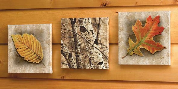 David Wenzel Set of 3 Gallery Wrapped Open edition Canvas: "Autumn Leaf"
