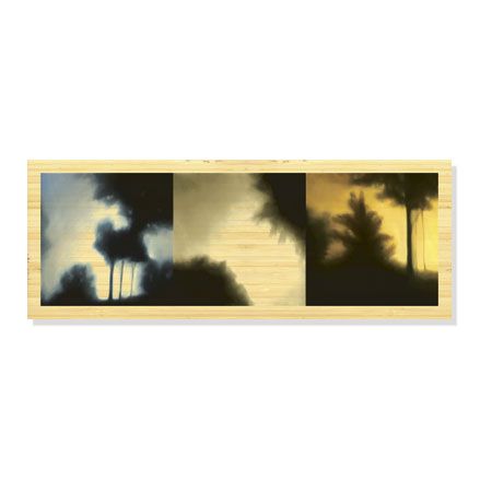 Deac Mong Limited Edition Ready to Hang Giclee on Sustainable Bamboo: "Sunset Forest I"